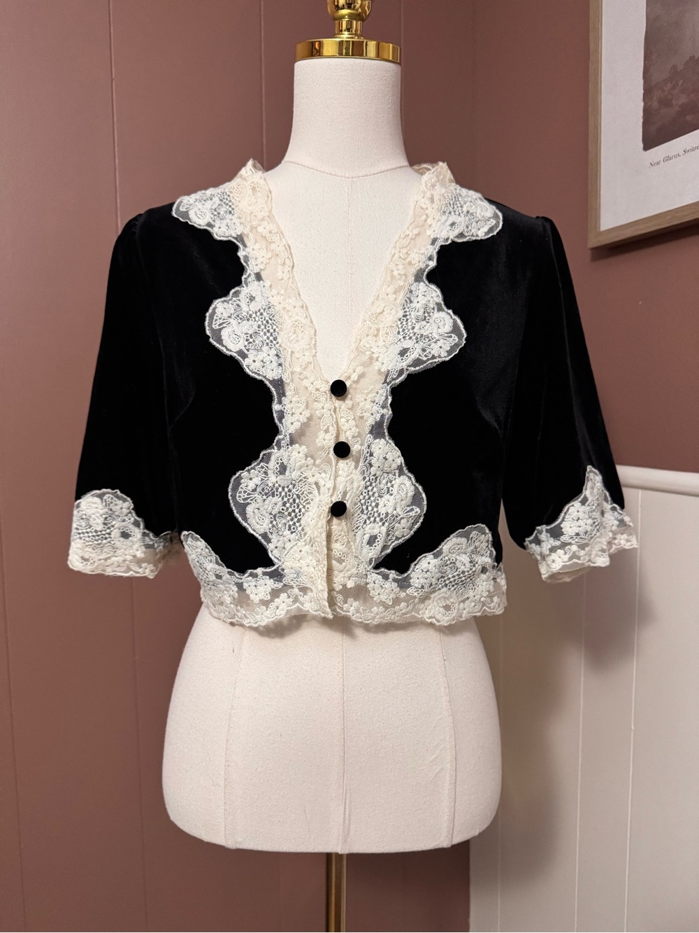 Vici Talina Velvet and Lace Top